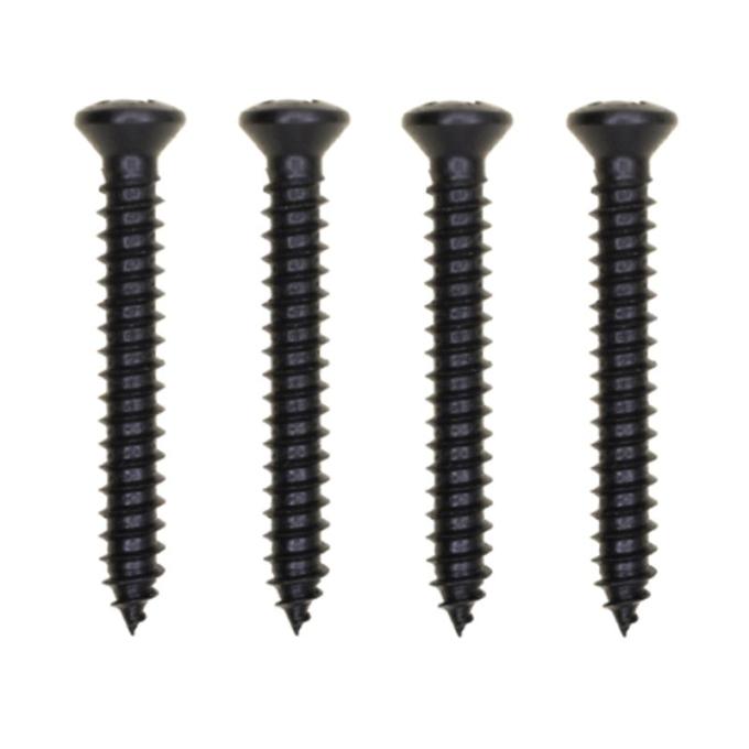 Redline Restomotive® 1969-1970 Ford Mustang Kick Panel Mounting Screw Set for Dark Color Interiors